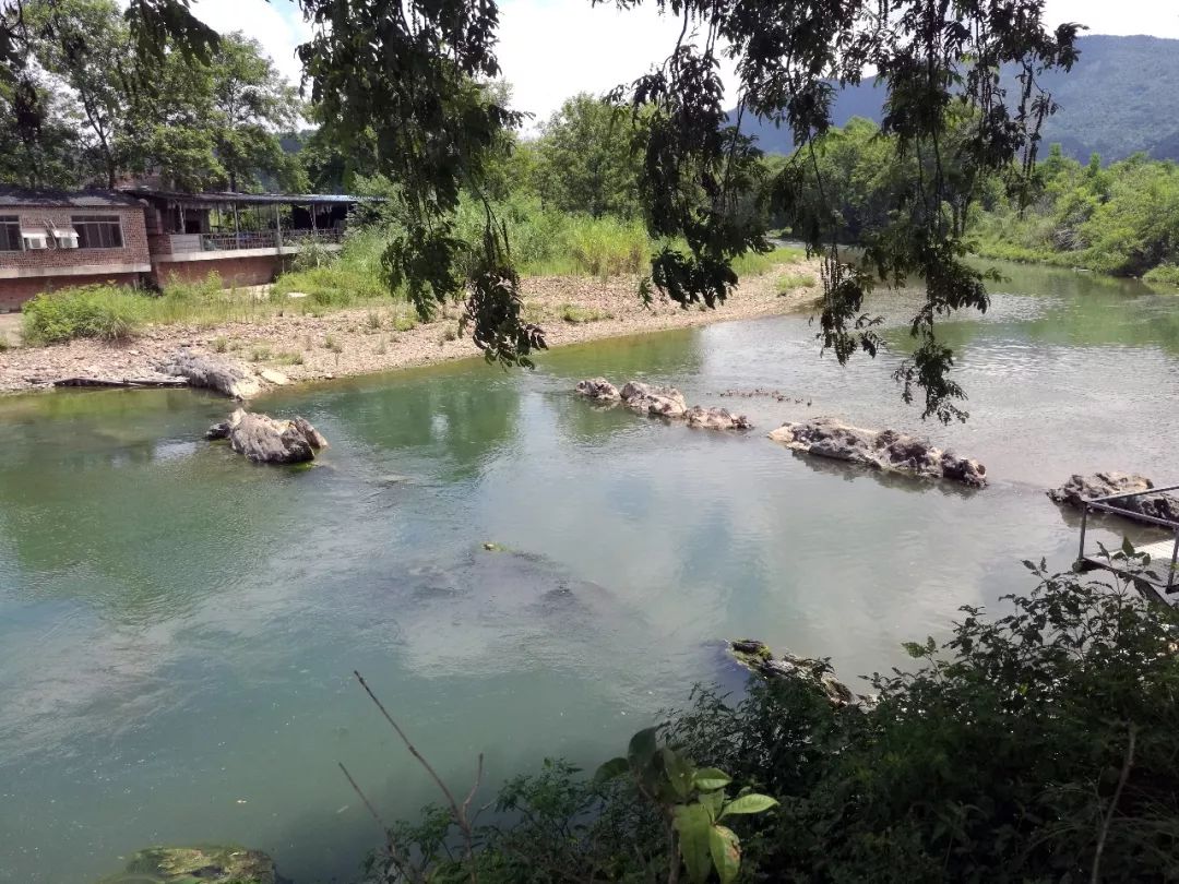 《大圩•龙熙•堤香》 | 旧物新生,打造自然人文空间-24