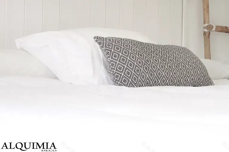 西班牙小镇的纯白北欧风住宅-18