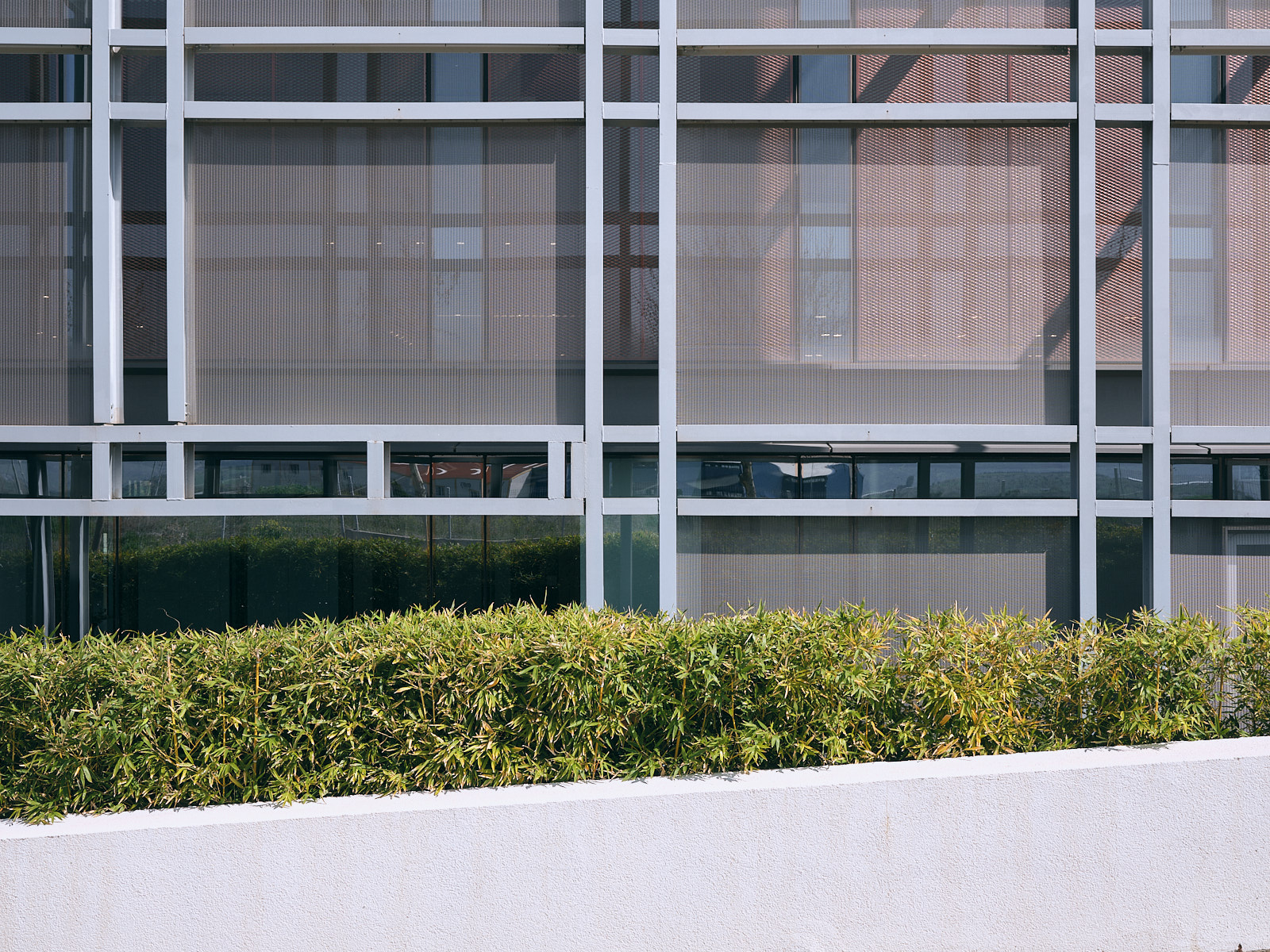 Anatolia Tiles 办公楼丨土耳其丨Iglo Architects-9