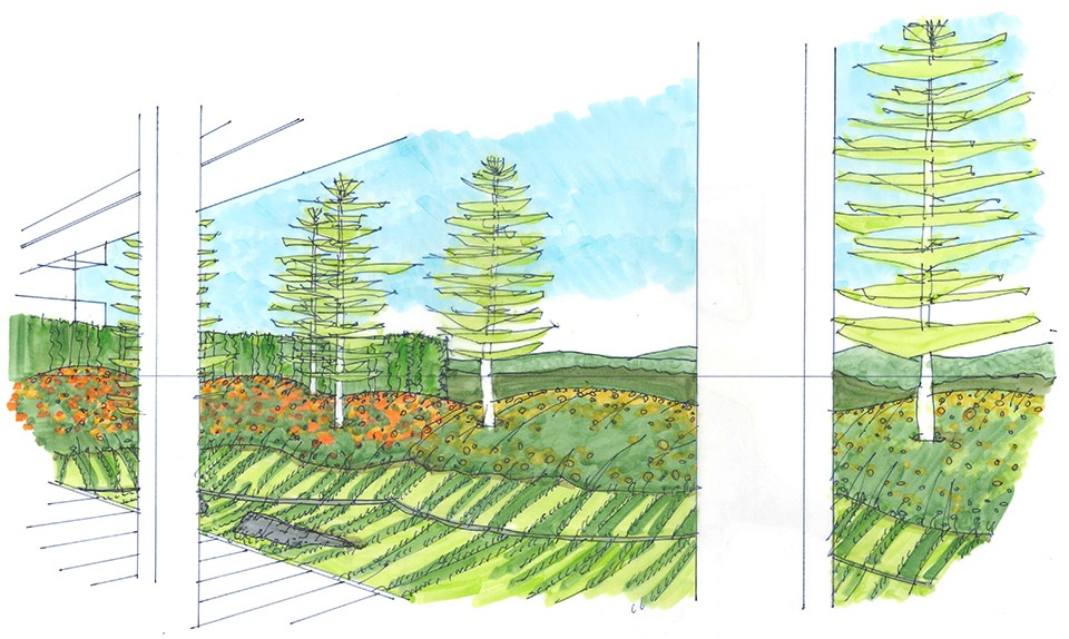 阿那亚三亚见山本院丨中国三亚丨景观方案  株式会社户田芳树风景计画等-59