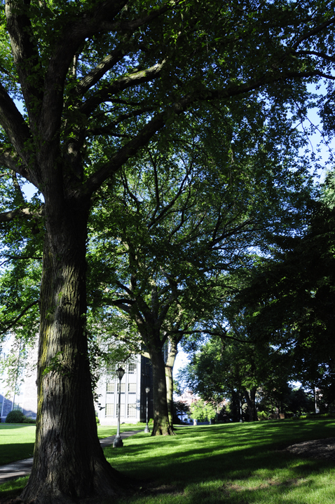 福特汉姆大学校园景观丨美国纽约市-11