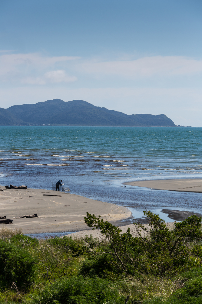 新西兰怀卡纳海滨保护区度假屋-24