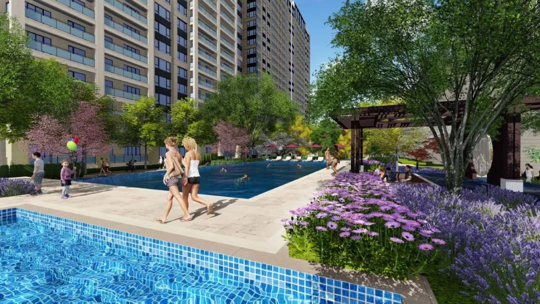 金“鱼”满堂 | 德信·大江源著（大区）-66