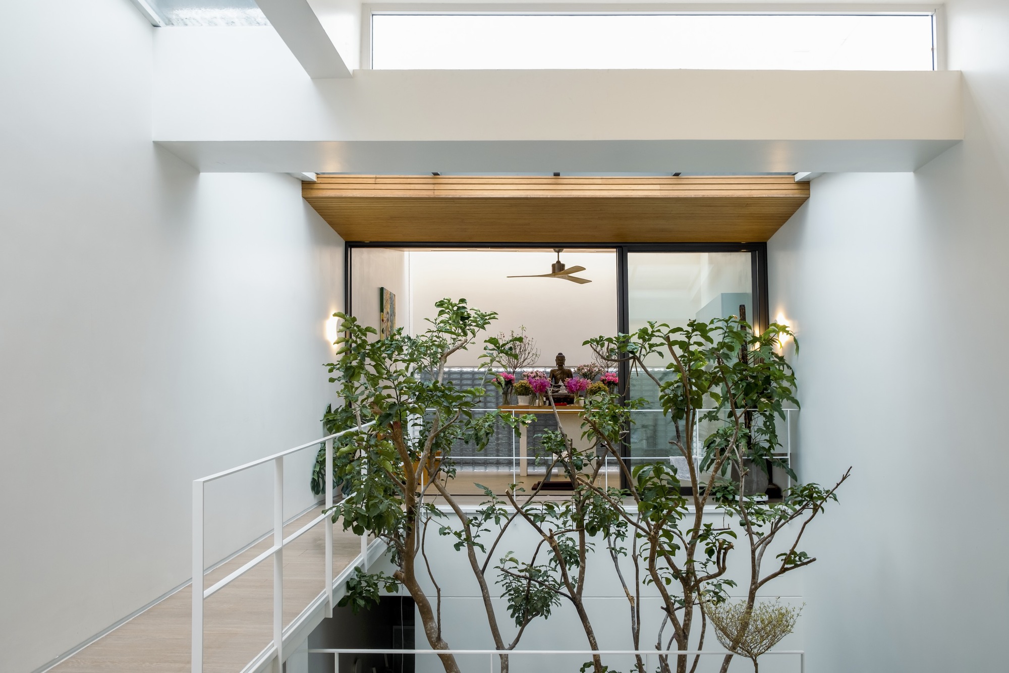 巴普的房子丨越南丨90+2 architects-26