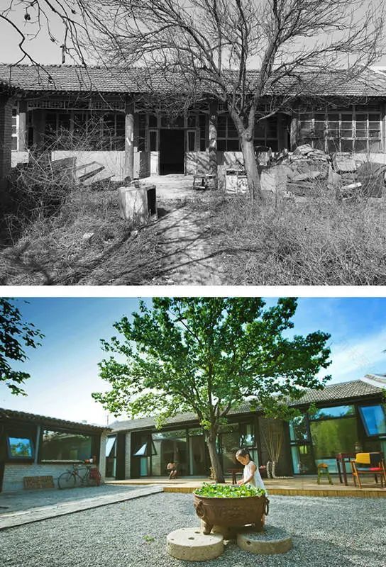 院子改造这样才叫美,配上老砖墙,更带感!-57