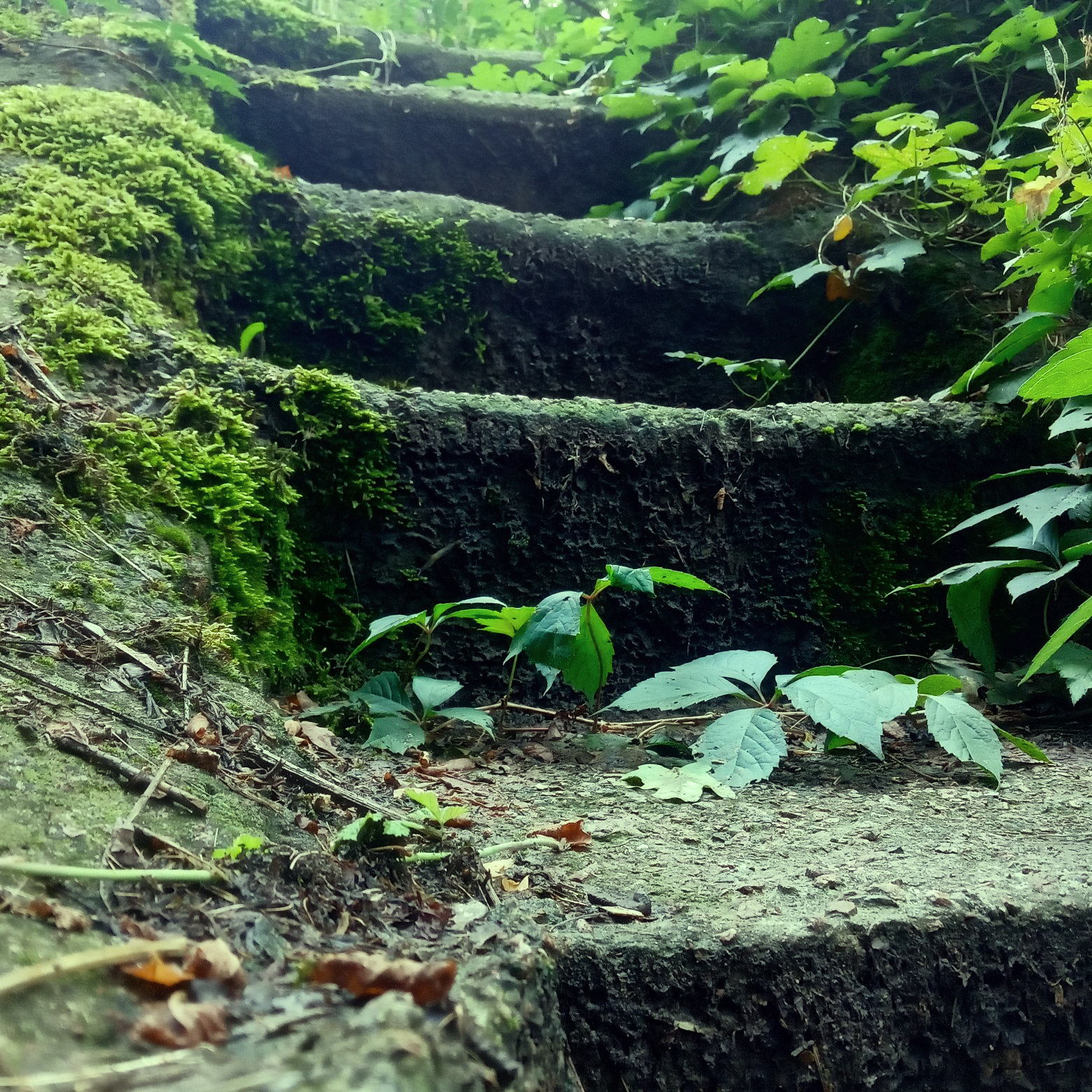 My trip to the land of death-1