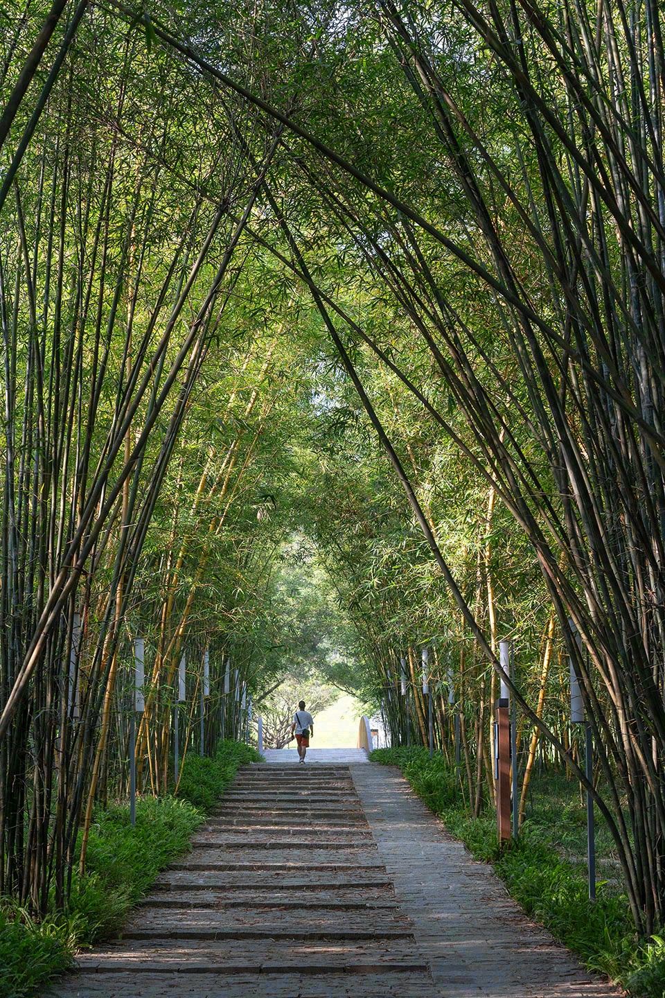 东莞松山湖科学公园丨中国东莞丨AUBE欧博设计-96