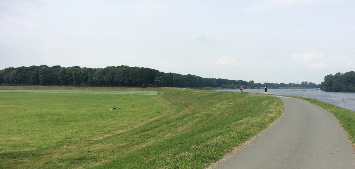 Gartenstadt Werdersee-4