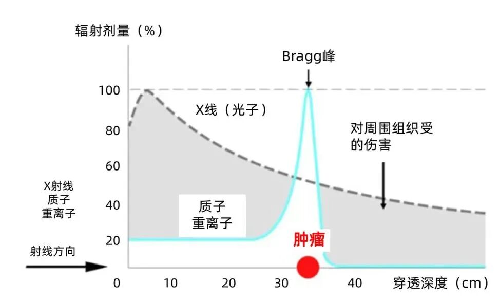 有望成全球最大粒子临床治疗中心|华建集团上海院原创中标上海市质子重离子医院二期工程-20
