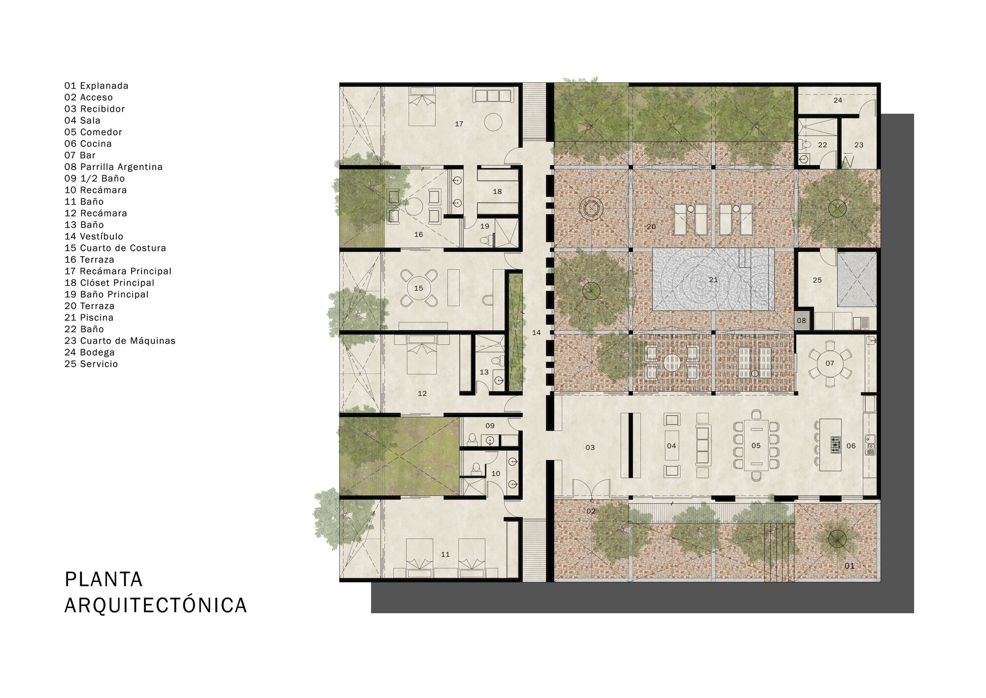 网状房屋丨墨西哥丨Taller Estilo Arquitectura-21