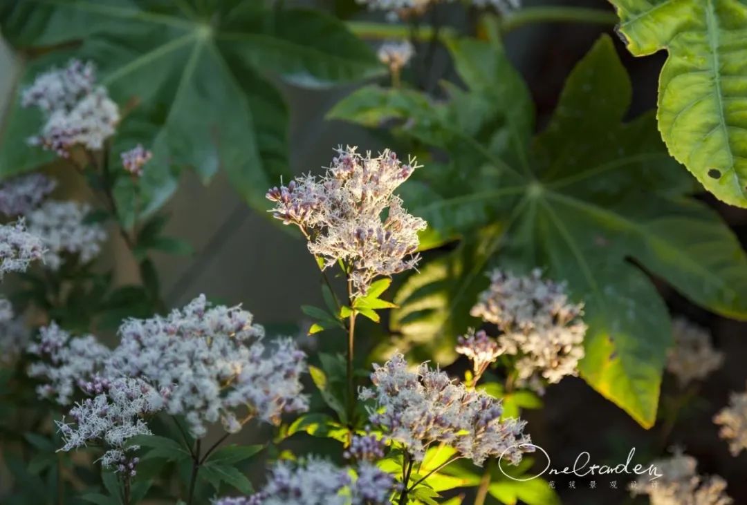 上海 50 平米养老花园 | 现代简约，回归生活-70