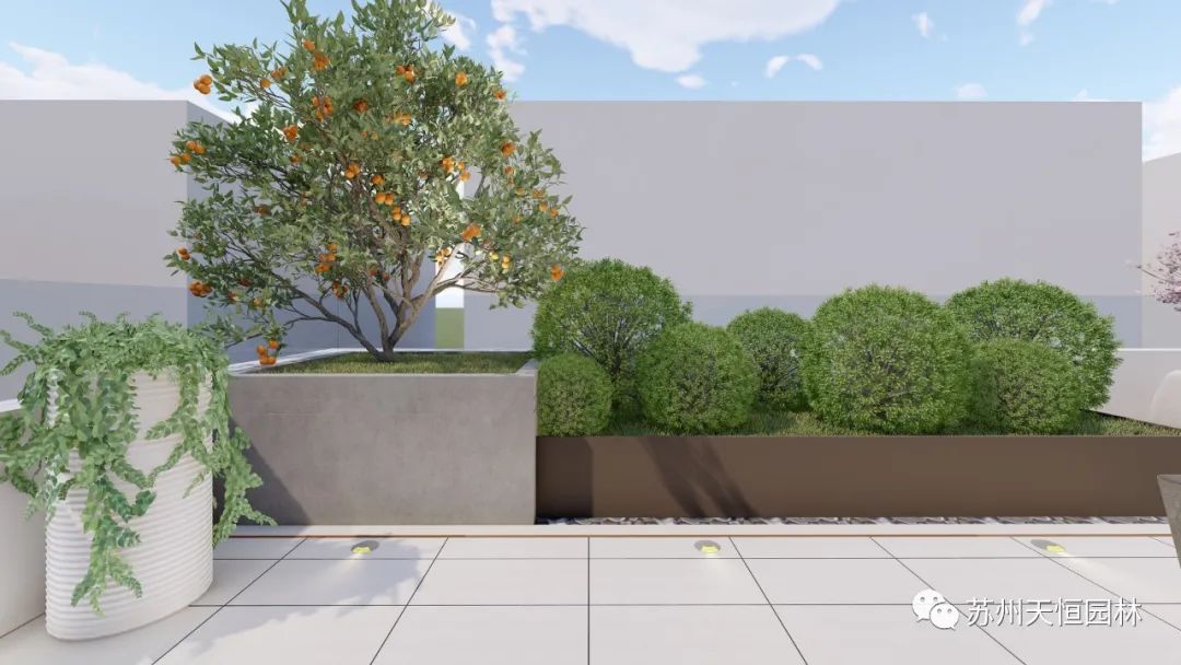 天恒园林｜晨星园-22