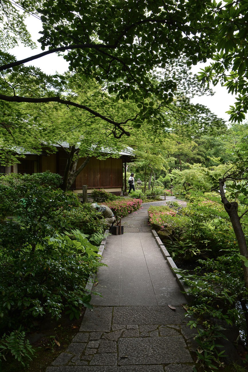 根津美术馆丨日本丨隈研吾-8