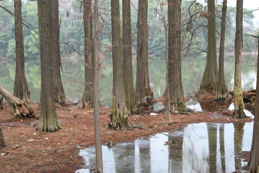 陈海峰  影像纪实 / 东湖之上-30
