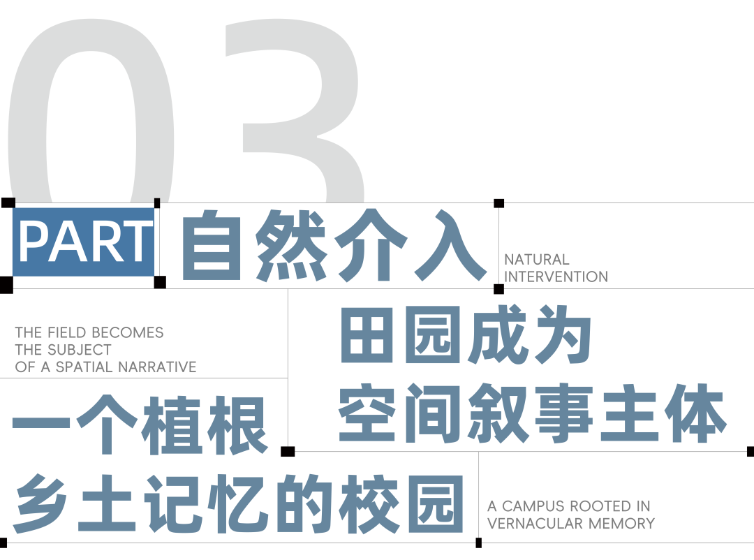书院文脉的现代转译：武义县职业技术学校迁建工程-14