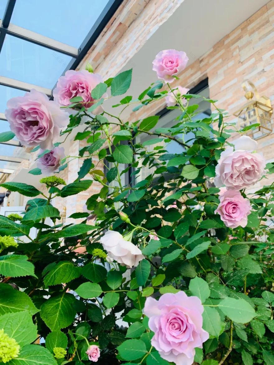 多一点浪漫 | 80、90 后的理想家居设计-67