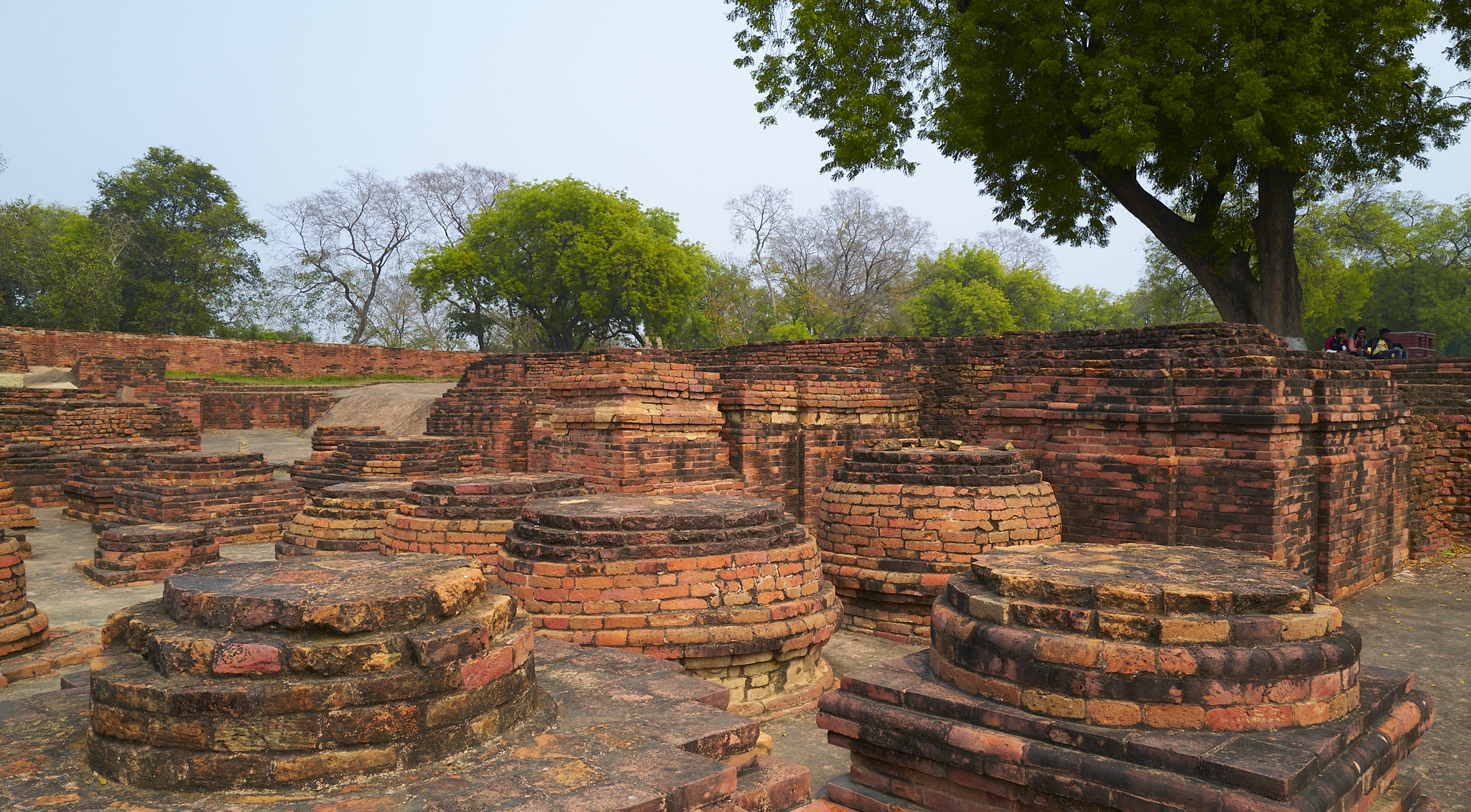 Varanasi 国王的秘密寺庙-38