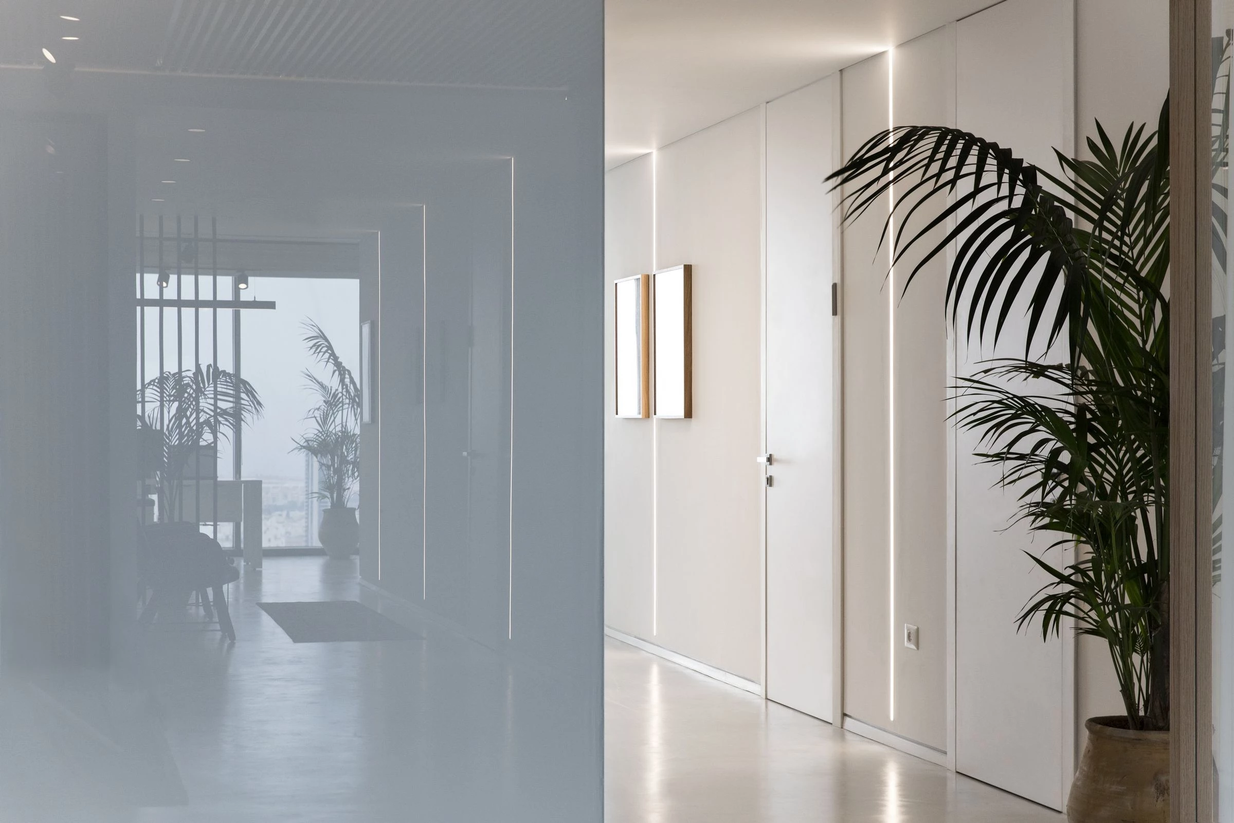 博阿兹·本·祖尔及合伙人律师事务所-16