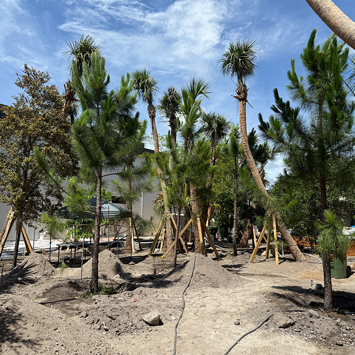 门户花园丨美国丨Cadence（景观）,DKOR（室内）-28