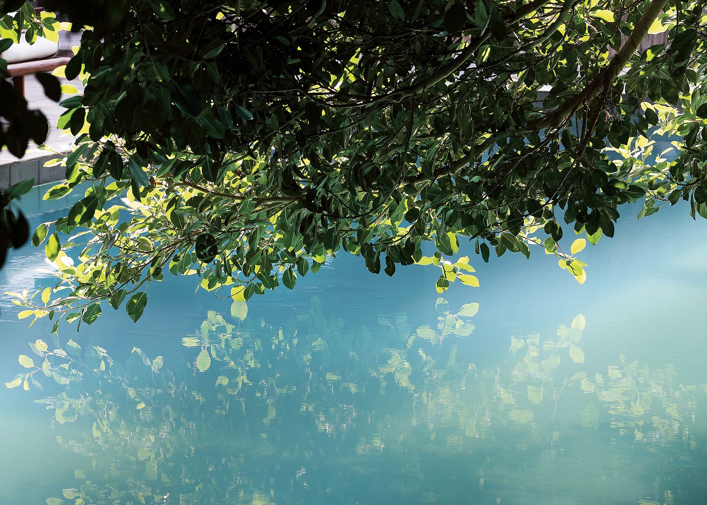 The Saxon Johannesburg 南非约翰尼斯堡Saxon酒店-20