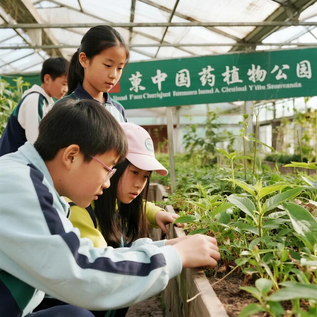 【道地天工·自然课堂】中医药亲子研学营地总体规划设计及运营指南-267