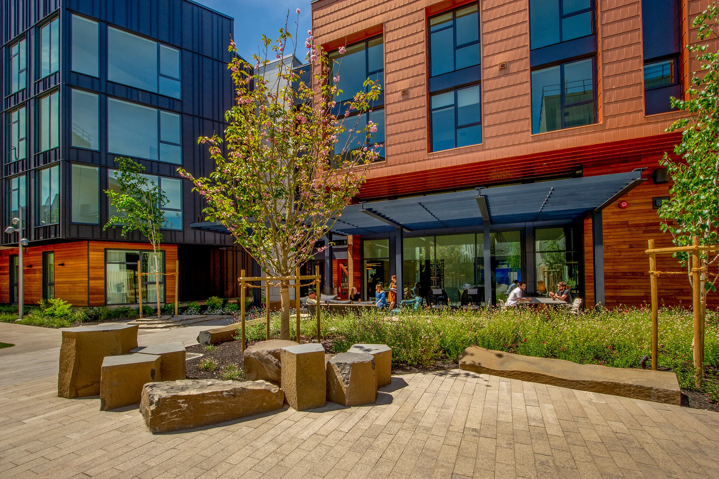 Mariposa Greenway（马里波萨绿道）丨美国丨Fletcher Studio（弗莱彻工作室）-11