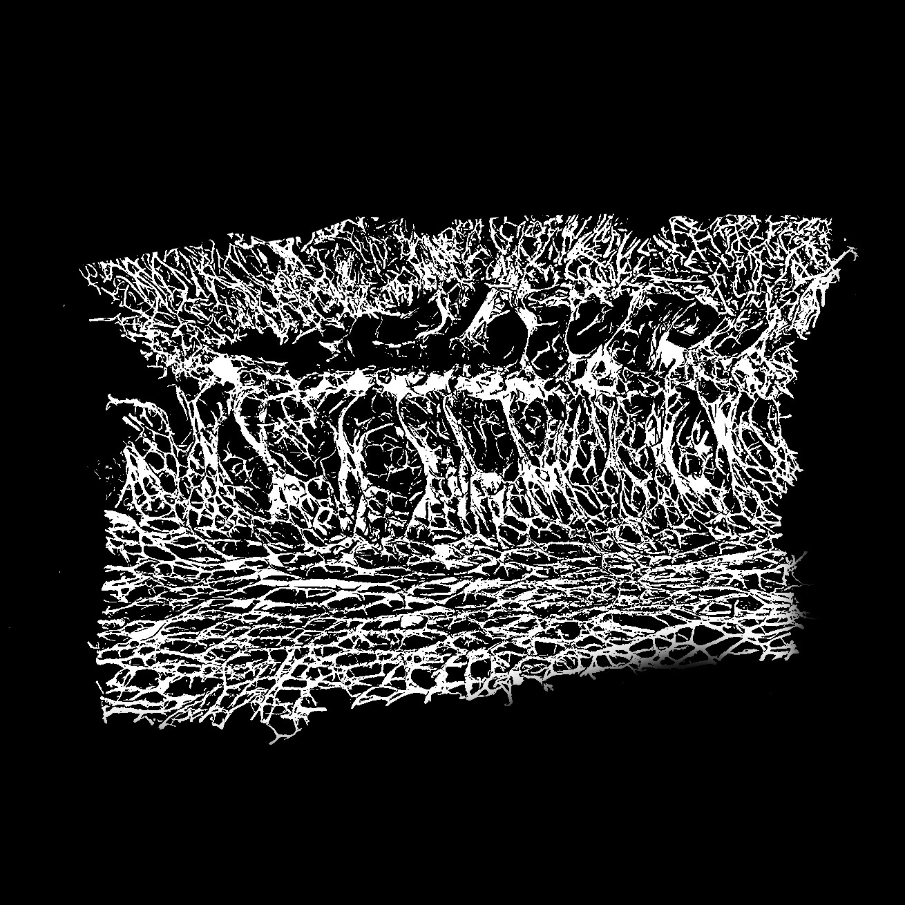 马特恩和帕滕,丝瓜络-23