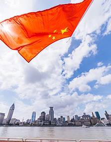 现代园墅的优雅复古空间艺术-53