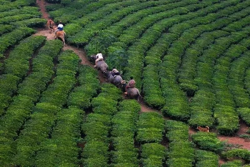 粮仓盛宴 | 万科四季滨江营销中心-35