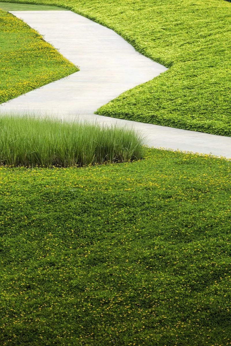 考艾23°庄园景观设计-39