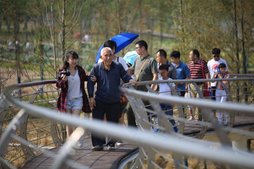 城头山遗址外围景观再现-21