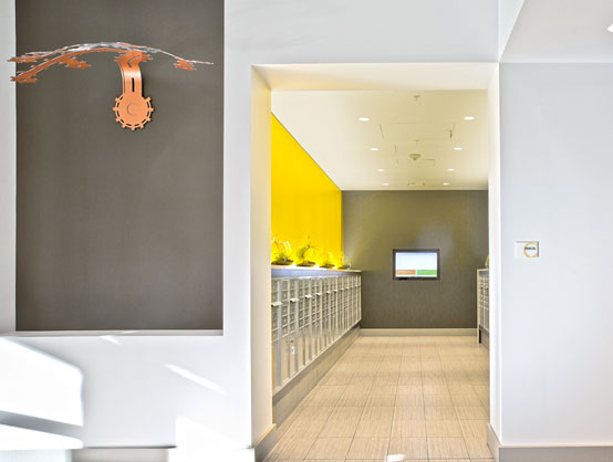 热情；活力；神韵丨美国西雅图丨Robin Chell Design-5