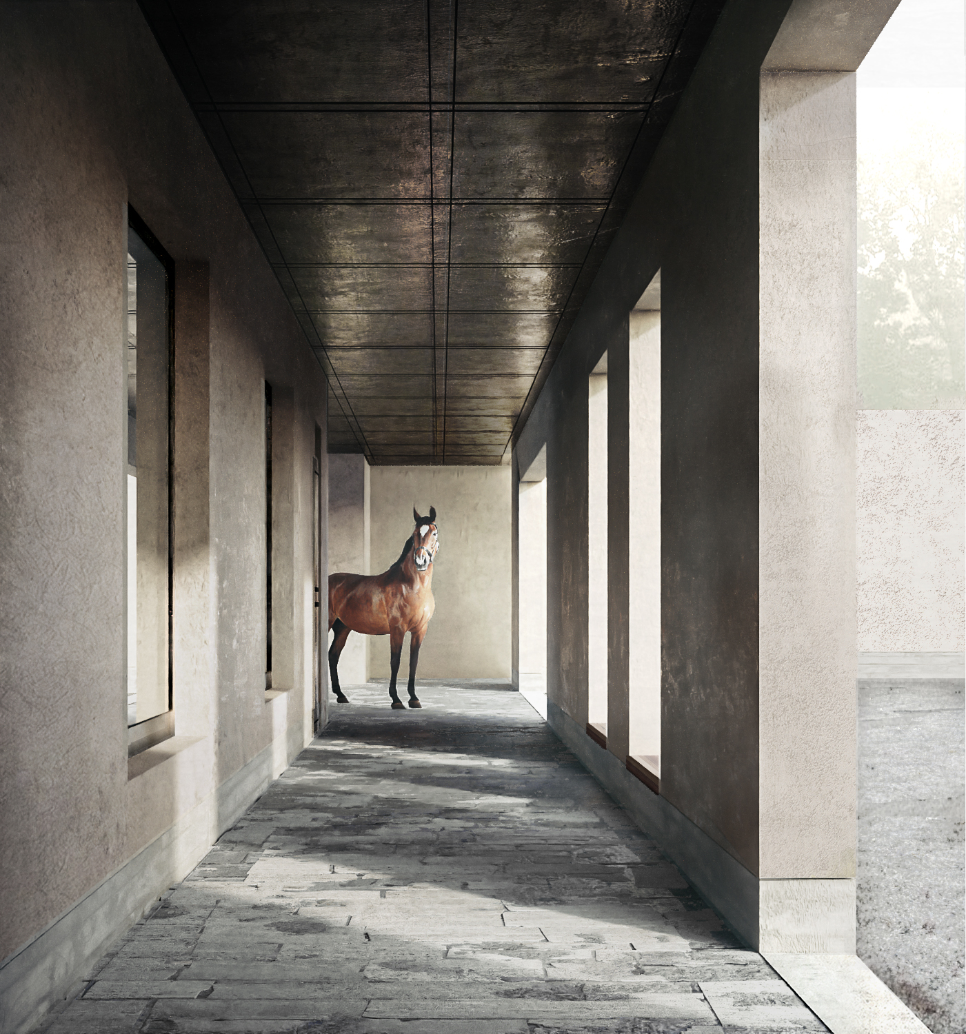 Bangalow Road - B.E Architecture-9