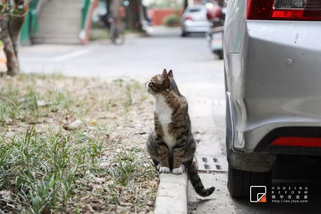 无锡沁园新村 60㎡老房爆改婚房,一室变两室,现代简约设计超赞!-13