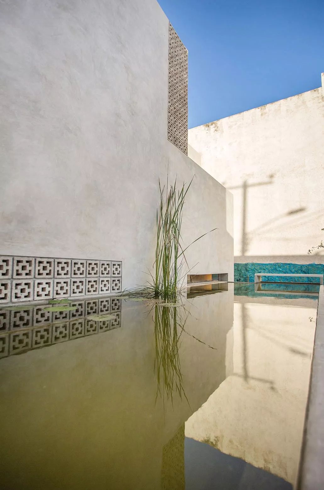 TACO 建筑探寻归属感 | 墨西哥梅里达的多学科设计实践-38