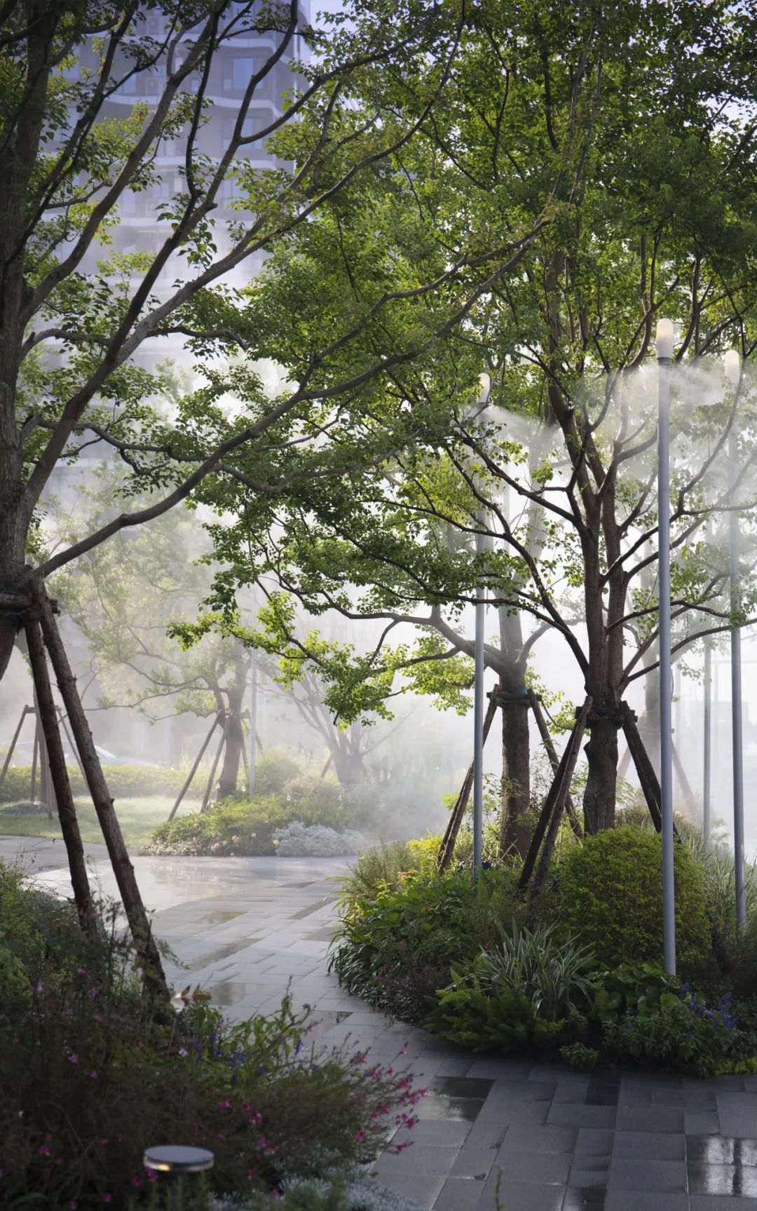 绿城·沁香园植物设计丨栖地设计-0