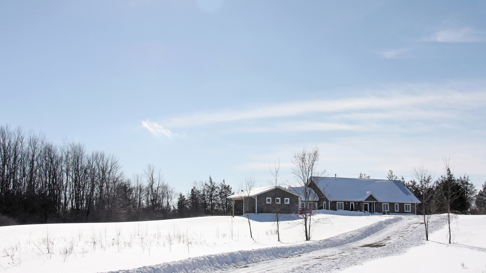 玫瑰十字路口超保温住宅-4