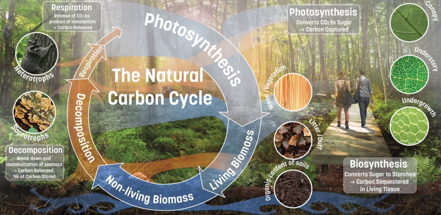 以“碳意识”设计丨Sasaki-27