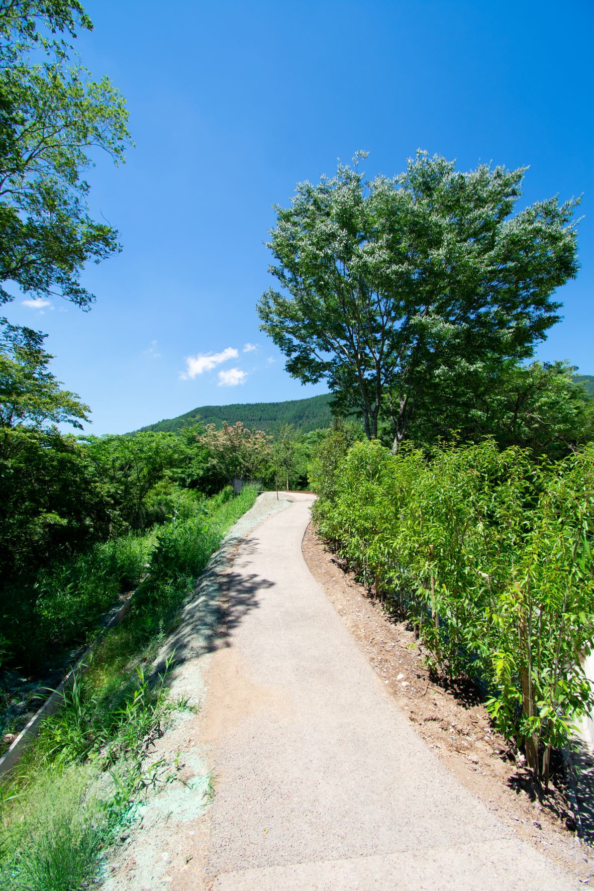 界·由布院丨日本丨隈研吾建筑都市设计事务所(kkaa)-146