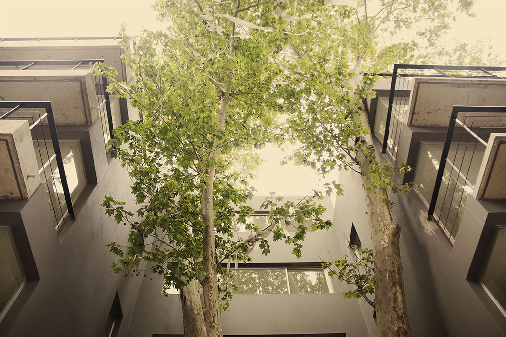 paseo victorica 890-15