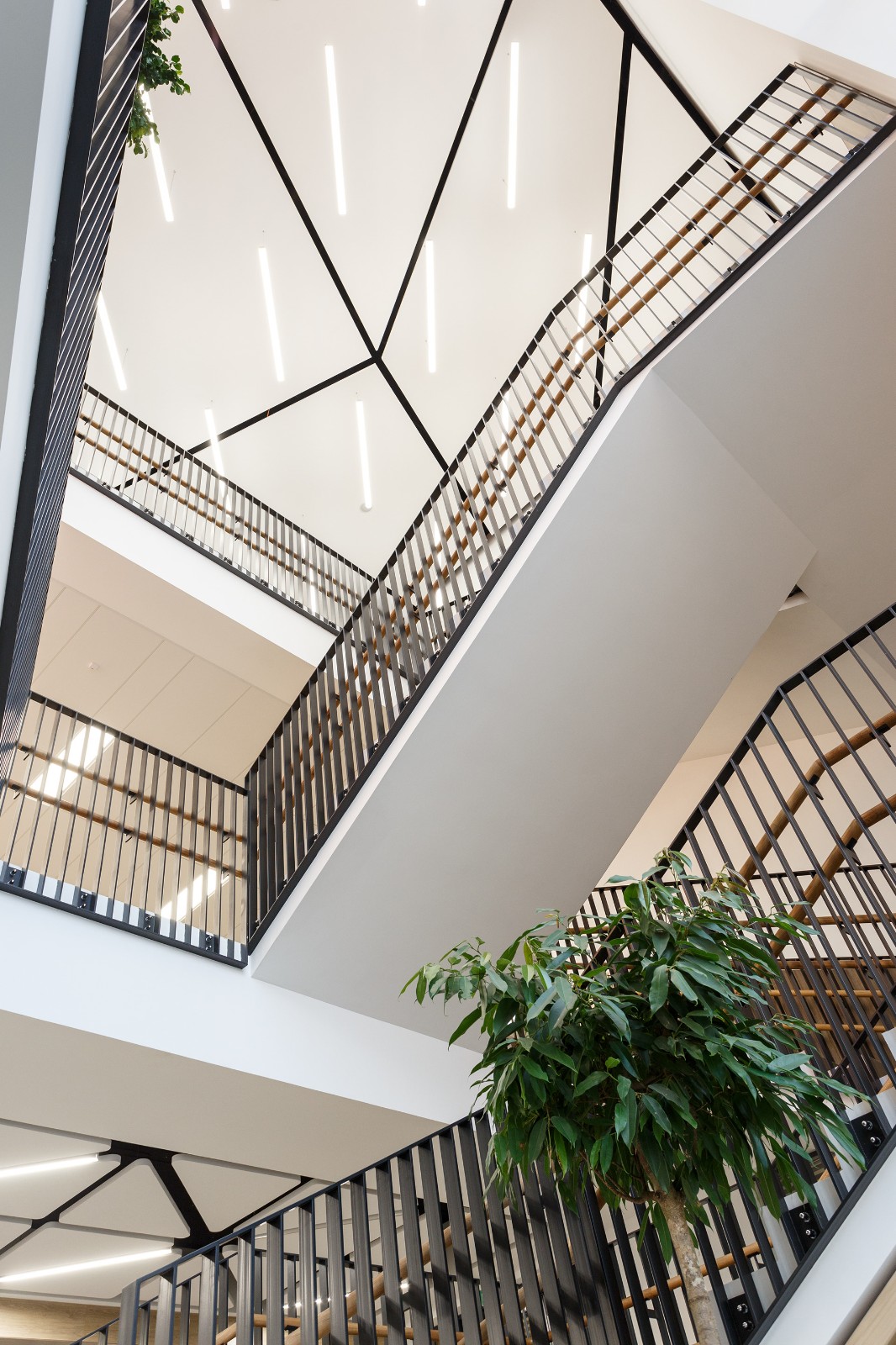 乌克兰基辅 A+ 学院 SVOYA studio-8