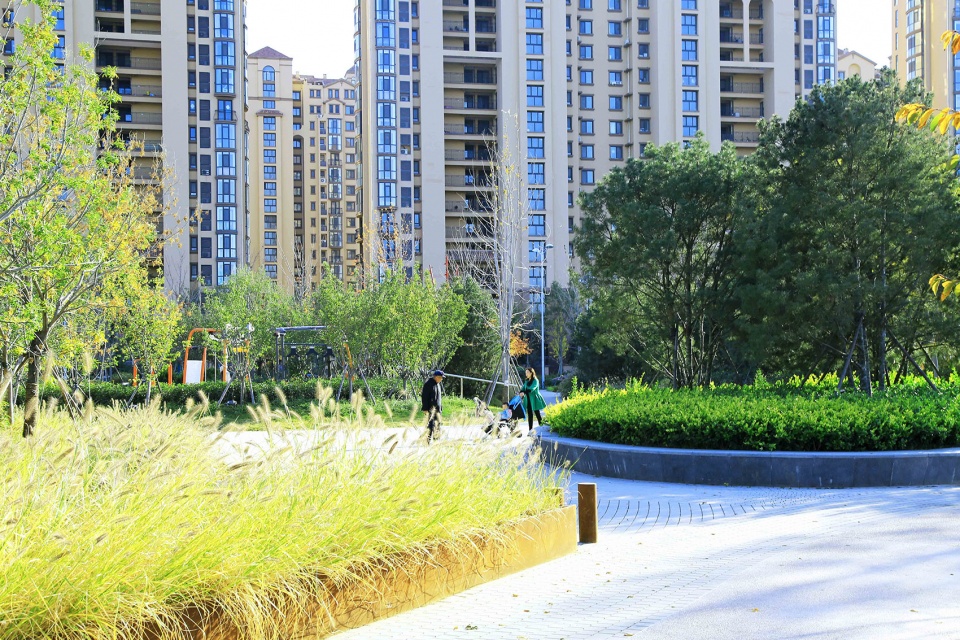 胶梦水韵(胶州三里河公园中央商务区段1标段)-101