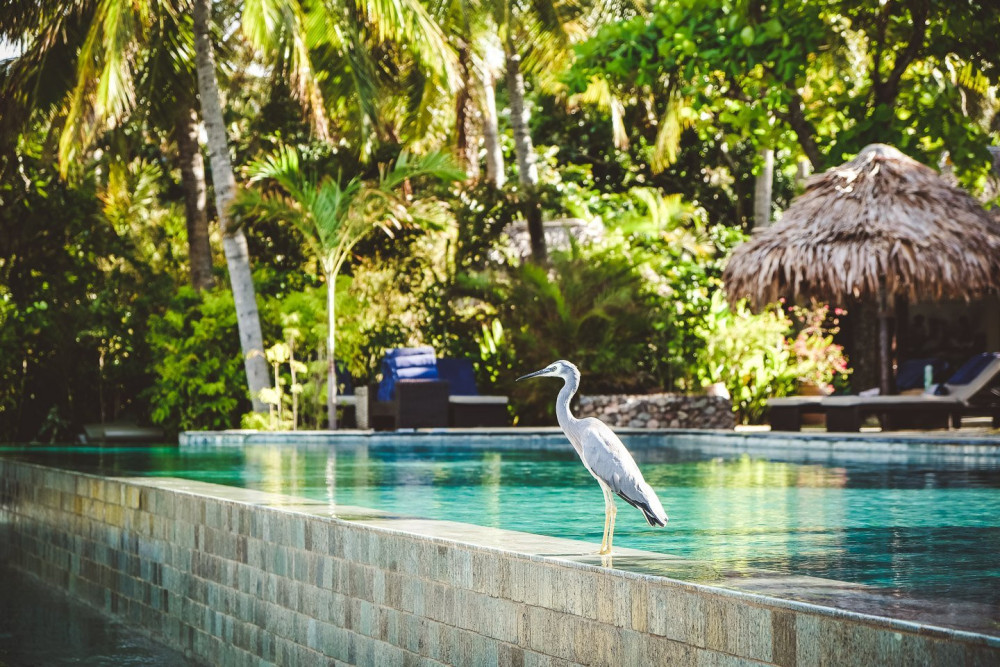 斐济五星级豪华度假酒店,现代斐济风格的海滨别墅-95