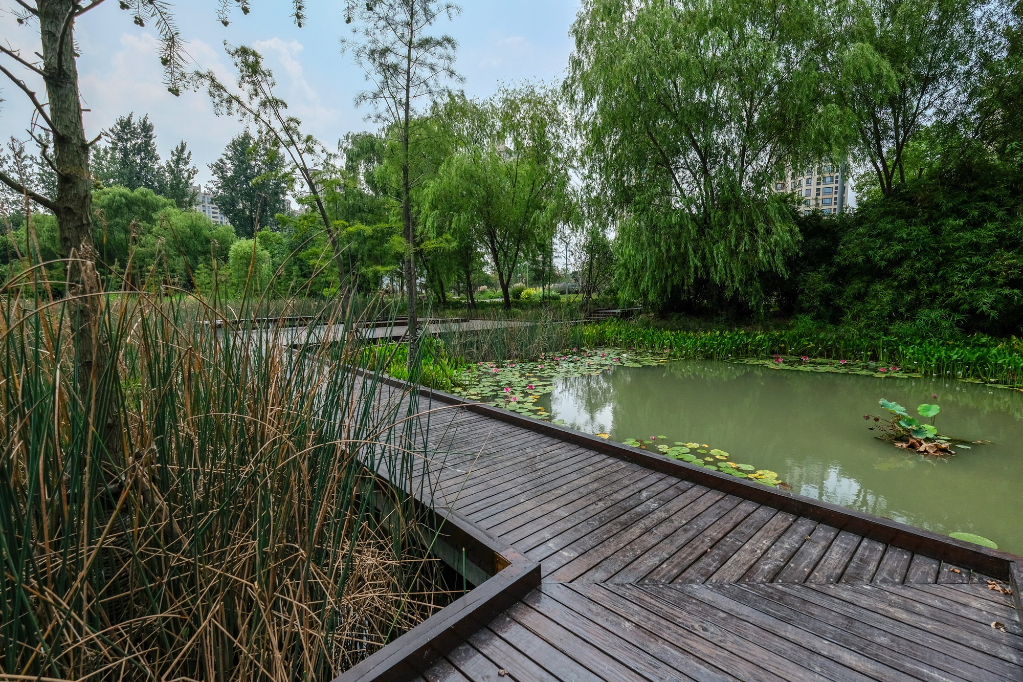 昆山市城市生态森林西入口丨中国鞍山丨PLAT Studio-52