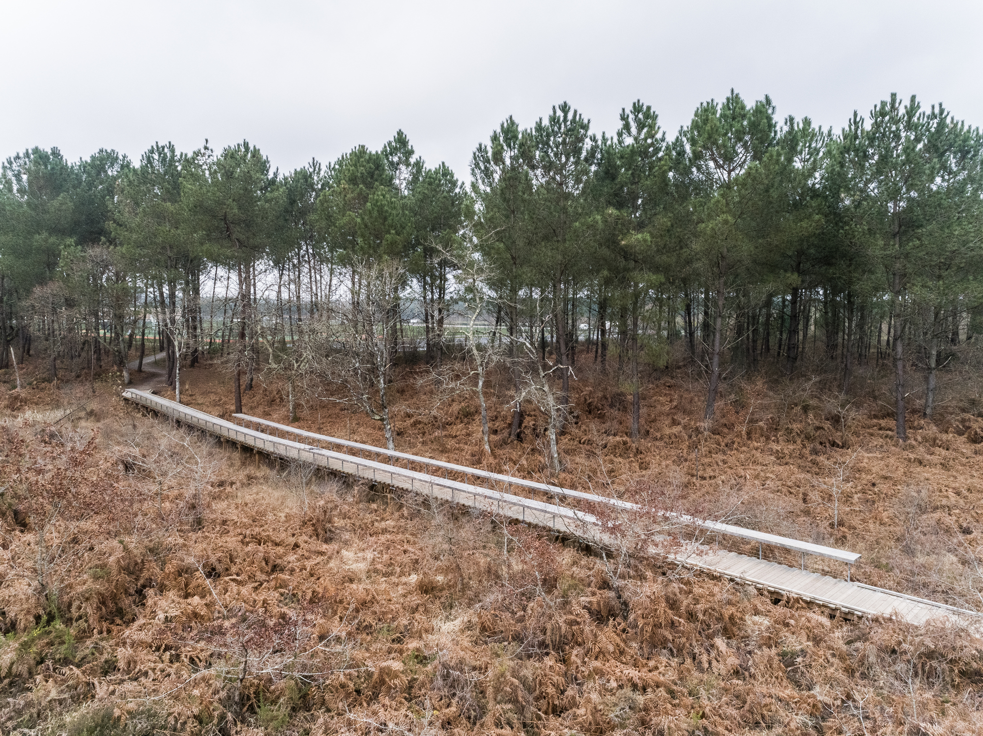 绿意盎然的 Plaine des Sports 体育公园-28