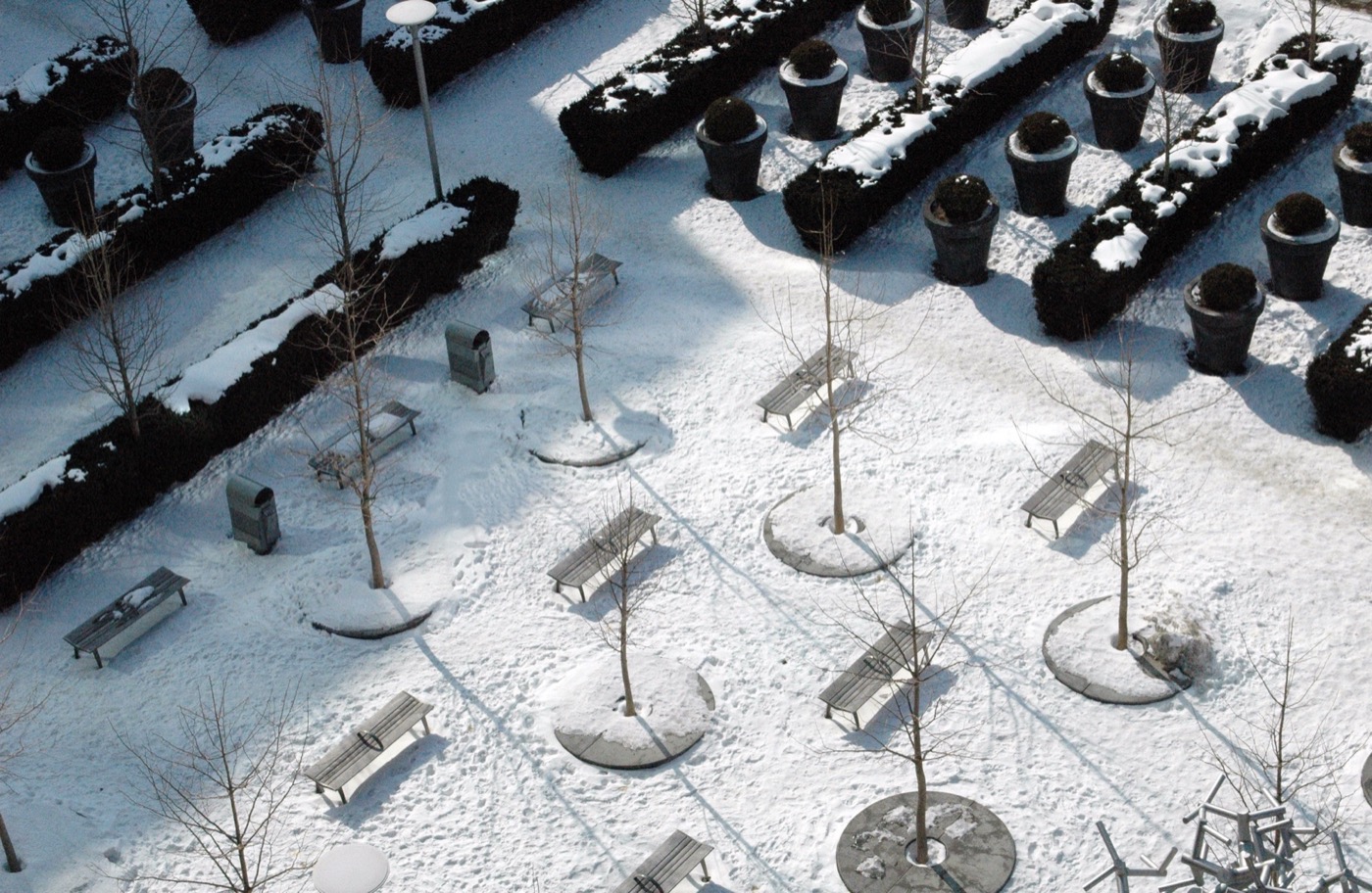 多伦多城镇大厅广场丨加拿大多伦多丨Janet Rosenberg Studio-12