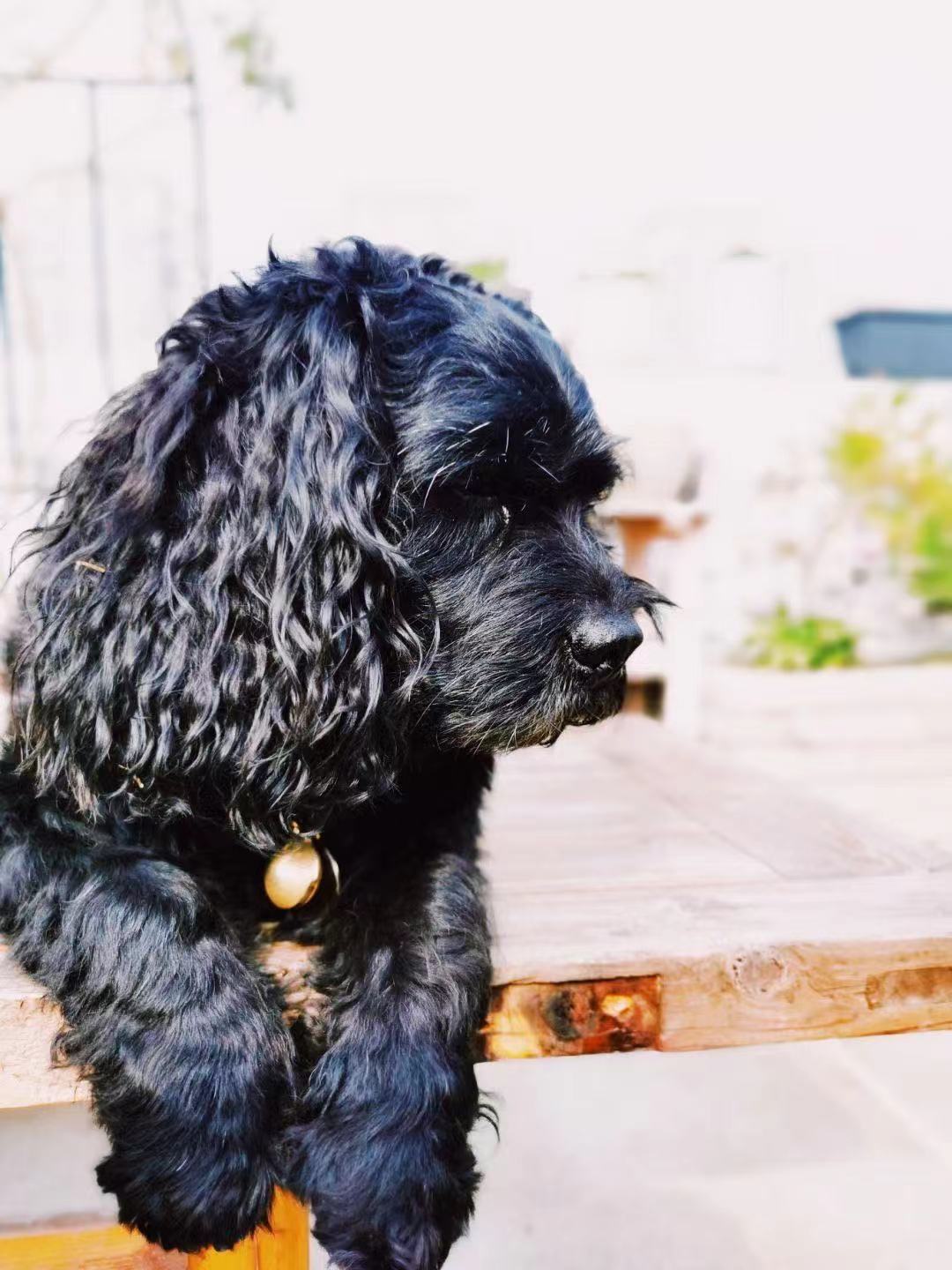 金山花园私宅丨居之设计-17