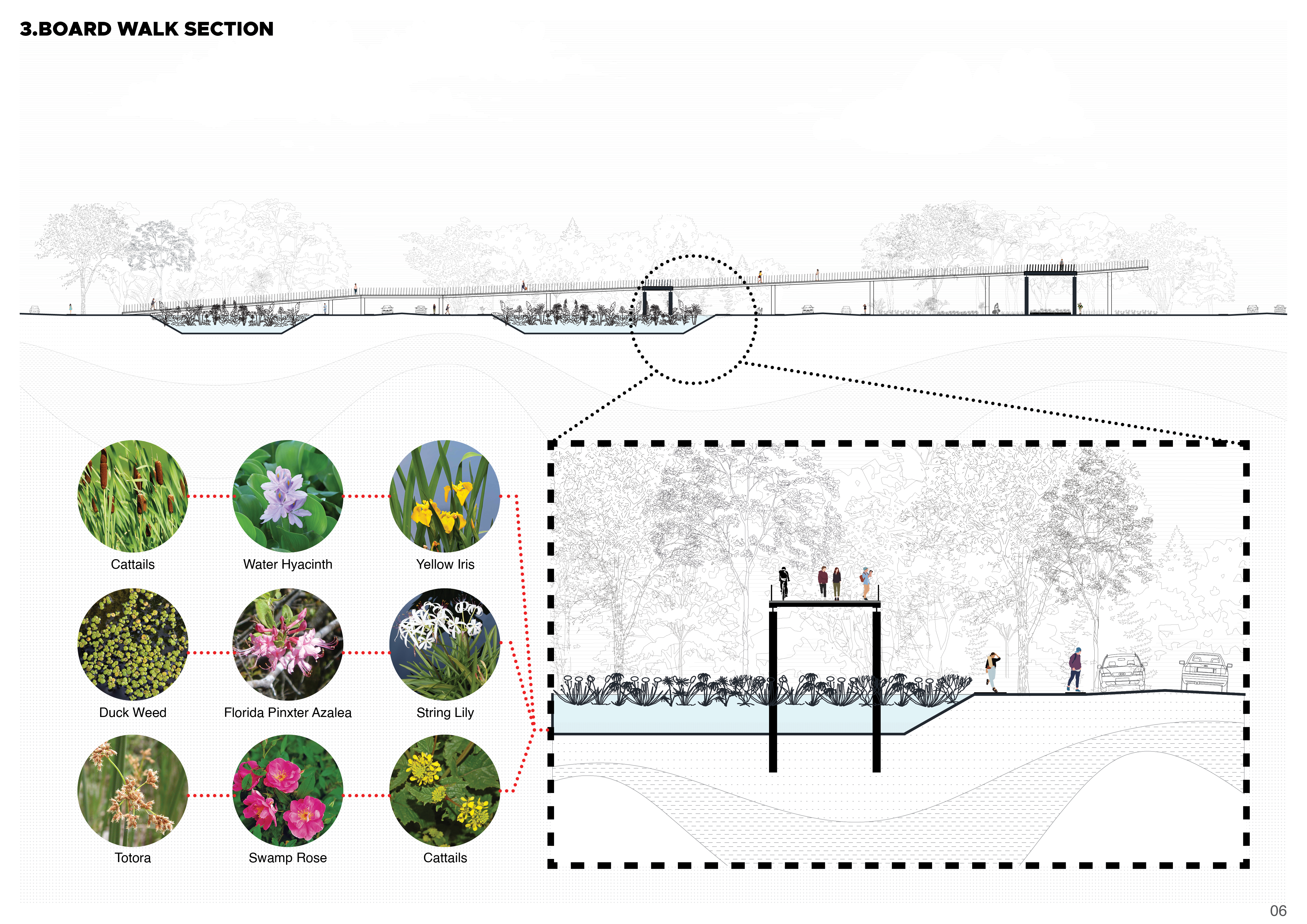 Landscape Portfolio-7
