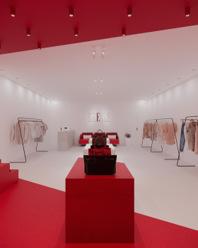 Anastasiya Gushchina丨服装店丨DRESSE