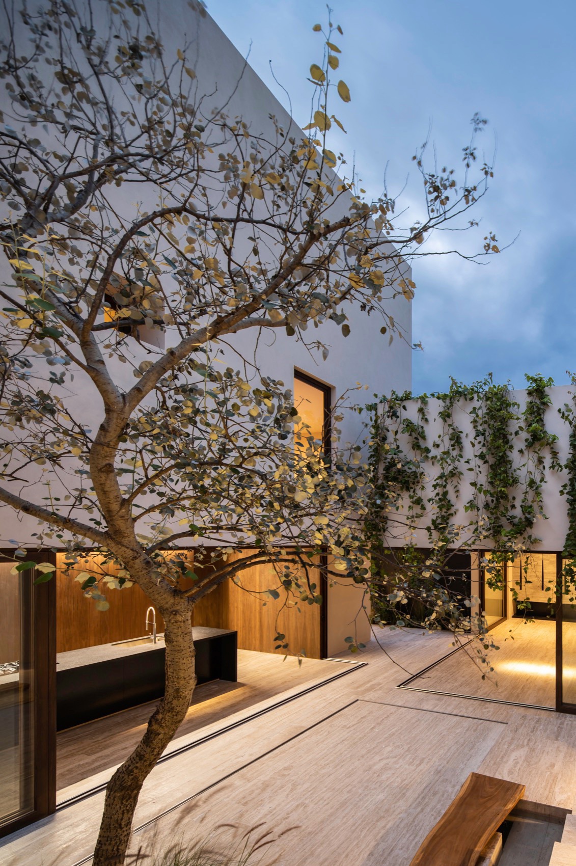 Sabino 10 住宅丨墨西哥丨Editorial-36